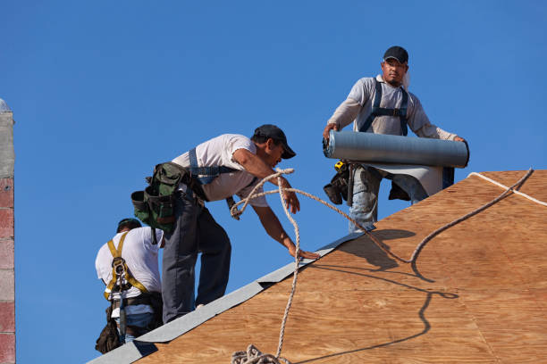 Best Gutter Installation and Roofing  in Wellston, OH