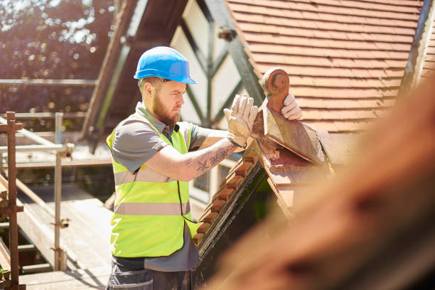 Best Roof Gutter Cleaning  in Wellston, OH
